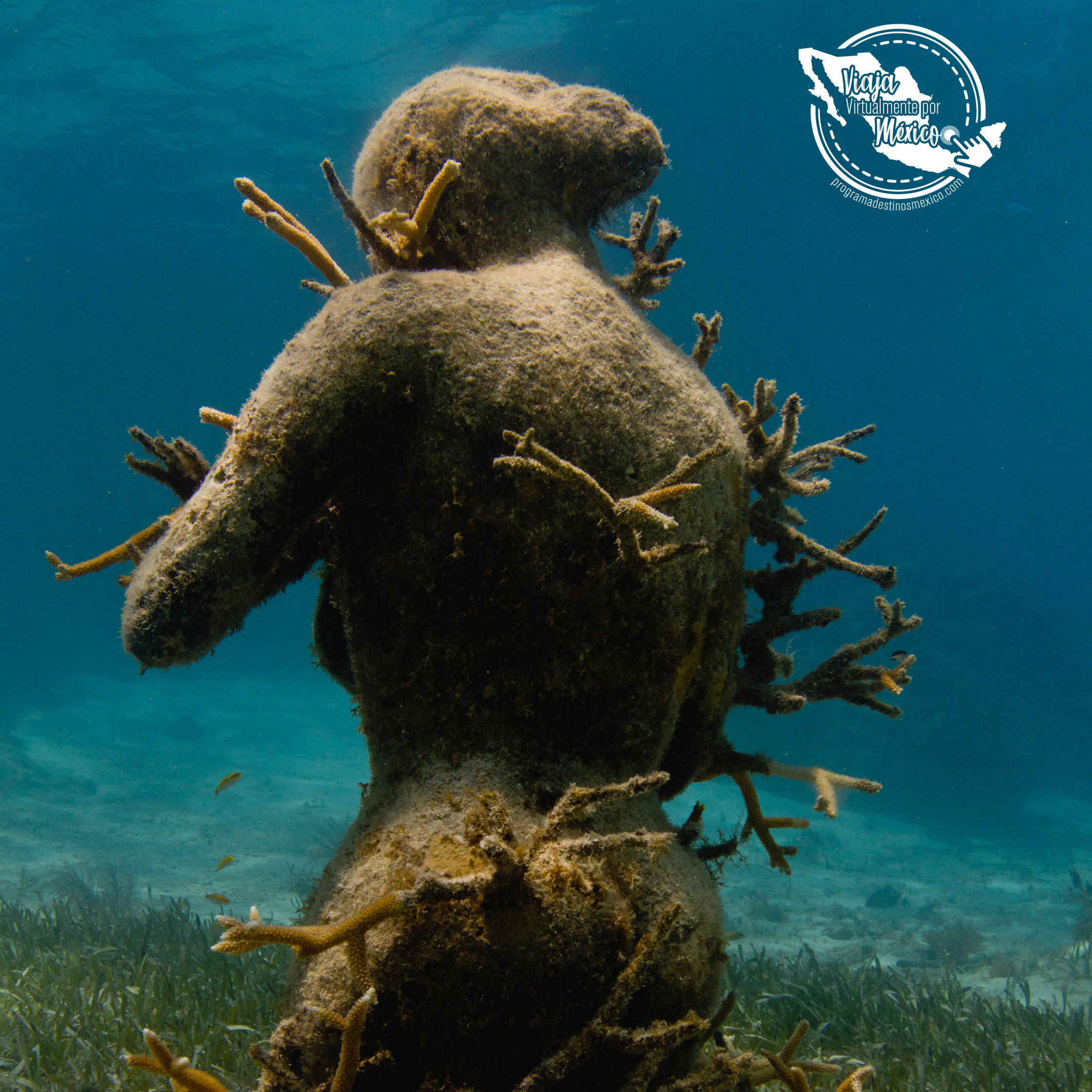 Video Museo Subacuático de Arte